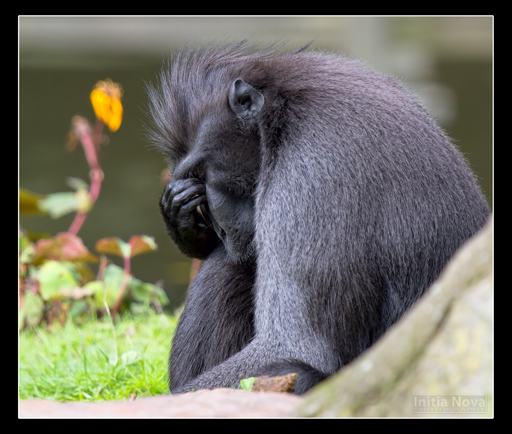 Why Evolution? Evolutionary Ecology of Health Research Labs